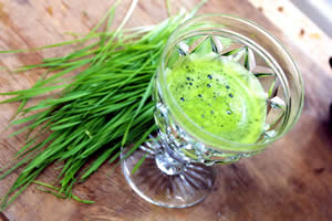wheatgrass