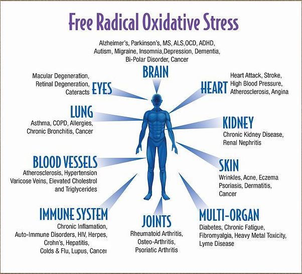 Free Radical Oxidative Stress Diagram