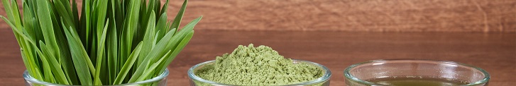 chlorella