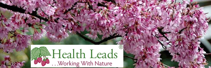 Health Leads 2018 Banner + Logo
