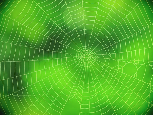 Green Spider Web