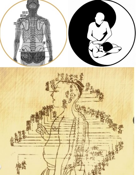 Chinese and Shiatsu Diagrams