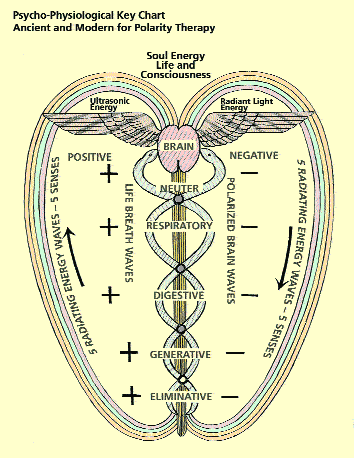 Fig 2. From Stone R. Polarity Therapy. Collected Works. Vol 3. 1986