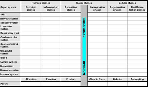 Fig 1 The Disease Evolution Table Illustrating Disease Progression in the Endoderm