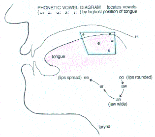 Phonetic Vowel Diagram