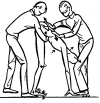 Work on pelvic torsion. Local intervention within a total strectching posture, from head to hands and head.