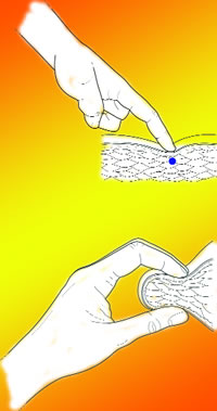 Figure 5. Reciprocal Inhibition Technique. Cortico-neuro-somatic-programming (CNSP)