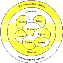 circle drawing