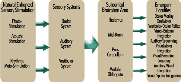 Bolles sensory learning method