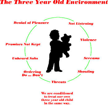 Figure 1 The Three Year Old Environment