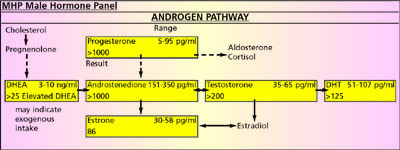 Male Hormone Panel