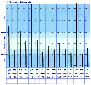 1 Nutrient Minerals