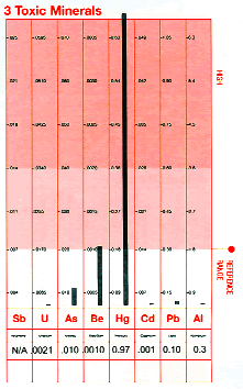 3 Toxic Minerals
