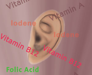 Image of an ear