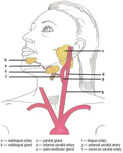 Subligual process