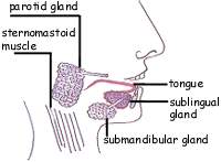 Image of tongue