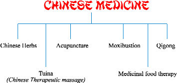 Diagram 1: The Branches of Chinese Medicine