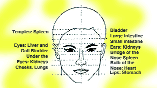 Looking Diagnosis Ã¢â‚¬â€œ Organs in Face