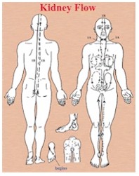 Kidney Flow acupressure chart