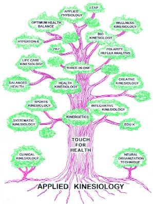 Applied Kinesiology Tree