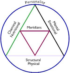 Personality Circle