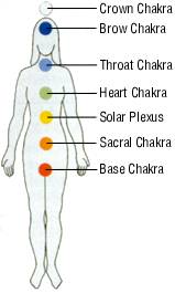 The Chakras
