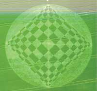 Figure 6: Crop circle, at Windmill Hill, Wiltshire (picture published with kind permission of Francine Blake of the Wiltshire Crop Circle Study Group (WCCSG)).