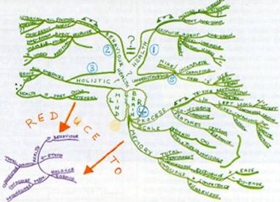 Fig. 1 Is a Mind MapÃ‚Â® of my understanding, showing 'Health' and 'Behaviour' as analogues; my understanding of the scale, nature and process of the mind-brain; my understanding of 'Holistic'; my understanding of 'Understanding', and some of the relationships between these factors. This is also shown in a reduced form in which only main themes are highlighted.