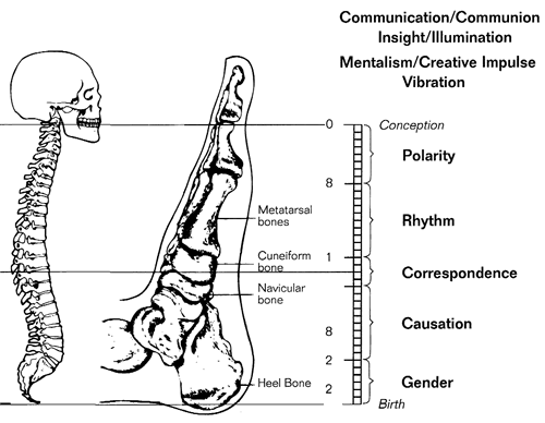 Map 2: The Universal Principles. Chart of the Universal Principles as formulated by Gaston Saint-Pierre.