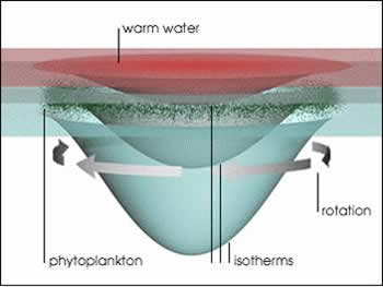 Plankton bloom diagram