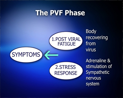 The PVF Phase