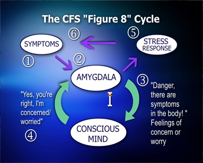 The CFS Figure 8 Cycle