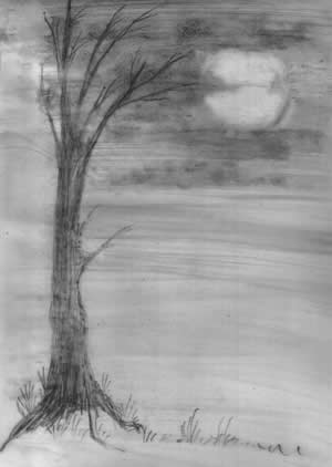 MoonTree