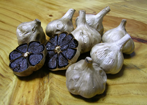 Black Garlic Launches in the UK