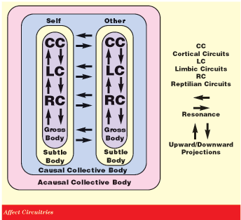 Affect Circuits