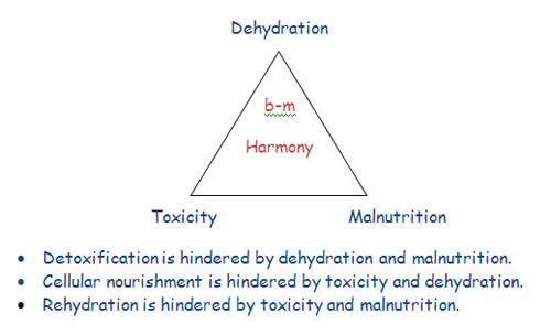 Harmony Pyramid