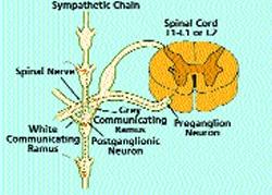 Sympathetic Chain