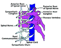 Sympathetic Chain