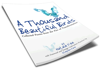 A Thousand Beautiful Birds