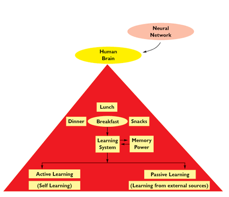 Food Pyramid