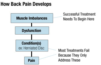 How back pain develops