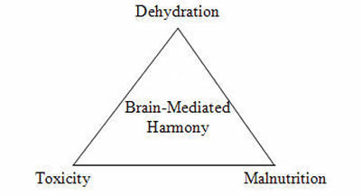 Brain-Mediated Harmony Triangle