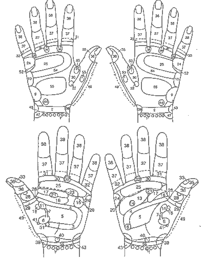 Hand Chart - VRT Dorsal and Palm Reflexes