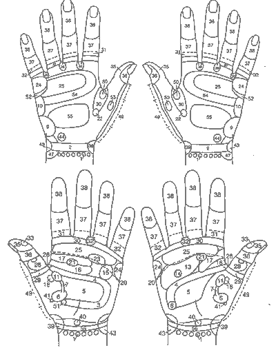 Reflexology Chart Headache