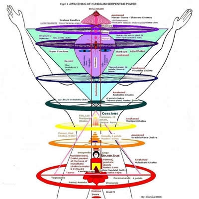 Sianala_chakras_awakened