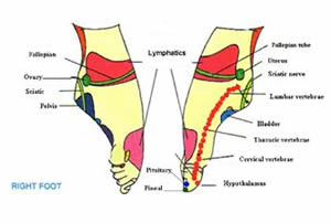 Reflexology Chart Ovarian Cyst