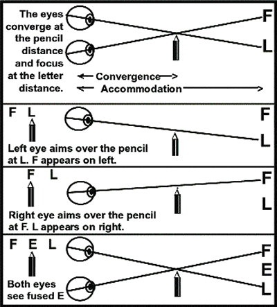 Figure 2. The eyes converge nearer than the target. Using two similar targets eliminates double vision. The left eye looks over the pencil at the L and the right at the F. The brain perceives three letters: the F and L fused into an E and the L and F on the sides.