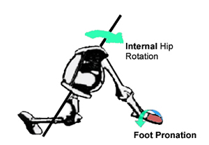 Figure 3. Hip Drive