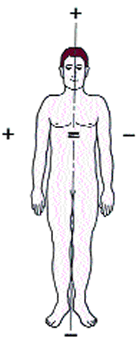 Figure 3: + Right Side - Outgoing energy Ã¢â‚¬â€œ Left Side - Receprive energy