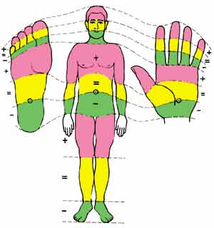 Polarity Therapy Charts